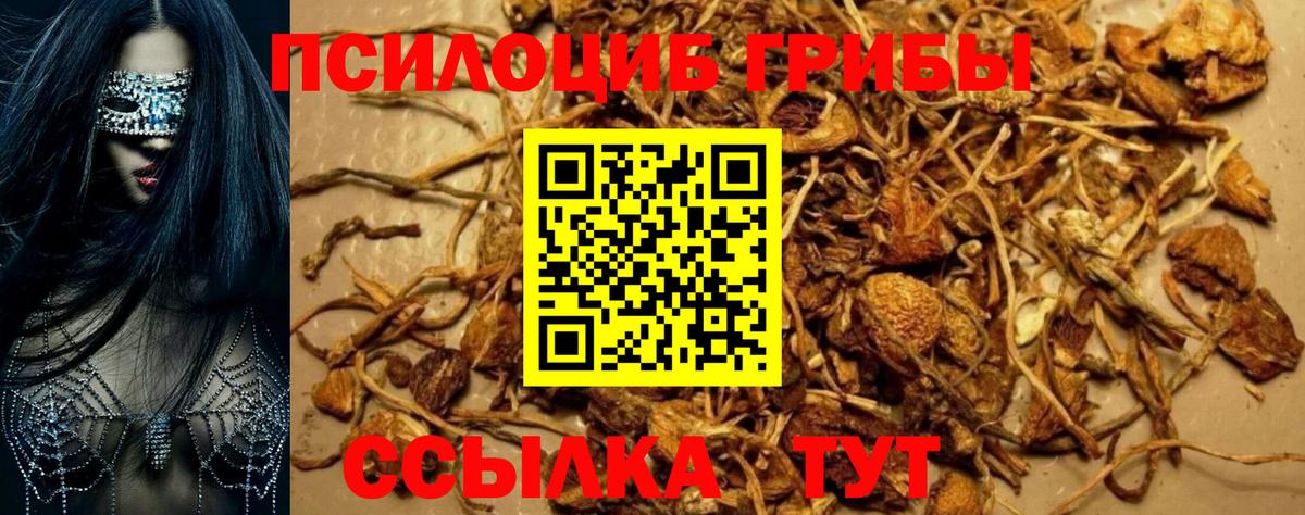 Псилоцибиновые грибы MAGIC MUSHROOMS Чайковский