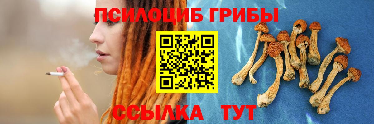 Чайковский  Галлюциногенные грибы мицелий  Вход с VPN 